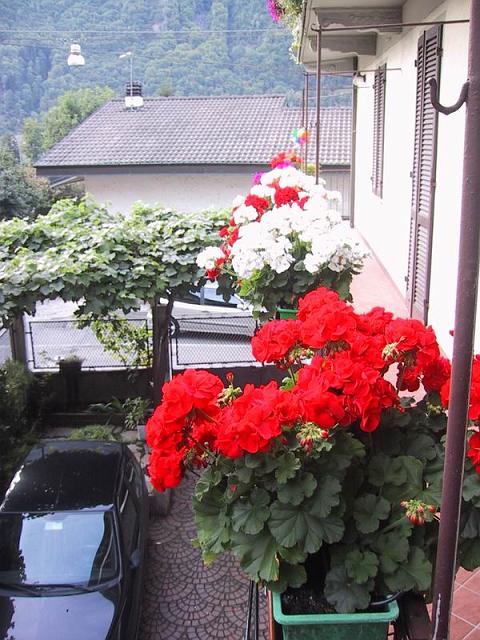 2006-09-03 08-40-20.jpg